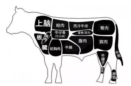 牛肉解刨图
